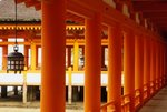 �饻�Y�q����