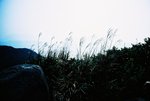 LCA 11_22