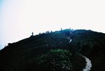 LCA 11_35