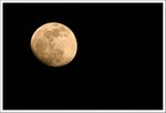 300mm *1.6 �Acrop
