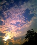 2010.08.28
