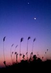 2011.01.01

a good new day
