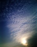 2011.01.22