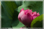 CRW_3604