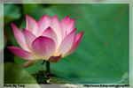 CRW_3616