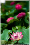 CRW_3617