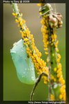 IMG_1841