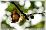IMG_1887