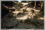 IMG_2993