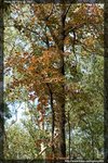 IMG_3002