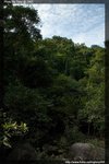 IMG_3013