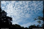 IMG_3015