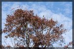 IMG_3022