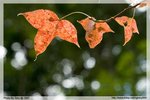 IMG_3029