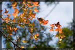 IMG_3039