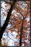 IMG_3042