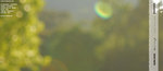 mu16