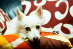 QQ01