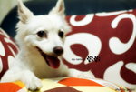 QQ04