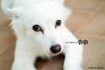 QQ10