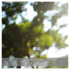 suki24_resize