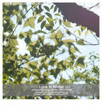 suki42_resize