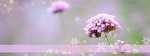 vivica-banner00