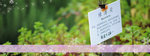 vivica-banner04