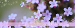 vivica-banner06