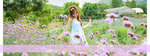 vivica-banner09