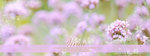 vivica-banner31