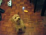 DSC01103-1