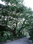 0604_RDP3_01