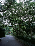 0604_RDP3_02