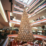 061212_100gx_SWC_A01