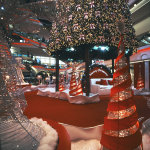 061212_100gx_SWC_A05