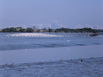 061225_RDP3_6x7_A01
