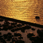 050702_100VS__B03_Crop