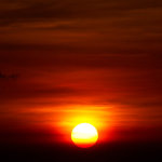 IMG_5383
