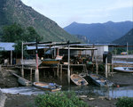 060827_6x7_RVP50_B8