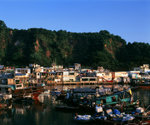 061105_6x7_RVP50_01