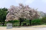 LG6G9817