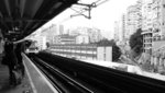 P1030063