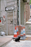 050508_C100_A01
