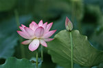 050529_RAP_B04