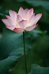 050529_RAP_C03