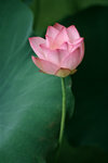 050529_RAP_C04