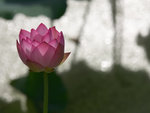LG6G8205_01