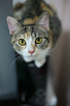 IMG_0241