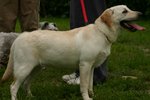 IMG_3678
